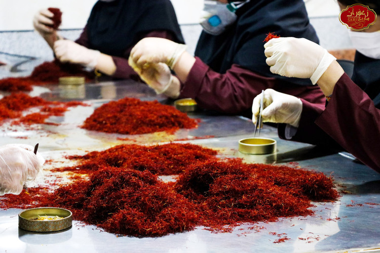 خرید زعفران نگین صادراتی زافارونه فروشگاه تخصصی زعفران صادراتی